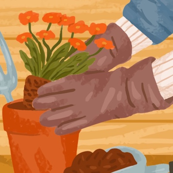 Meet your Posher, Morgan - Picture 1 of 1